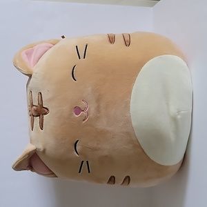 Squishmallow Nathan The Tabby Cat 12” Kellytoy Soft Plush Toy Kellytoy NWT